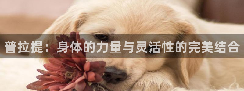 意昂2官方平台