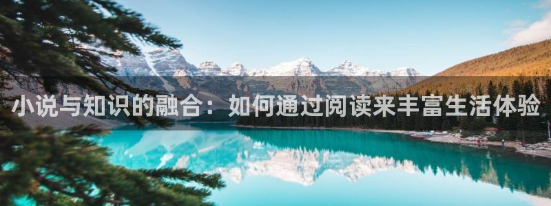 好看的小说大全第一版主小说网免费：小说与知识的融合：如何通过阅读来丰富生活体验