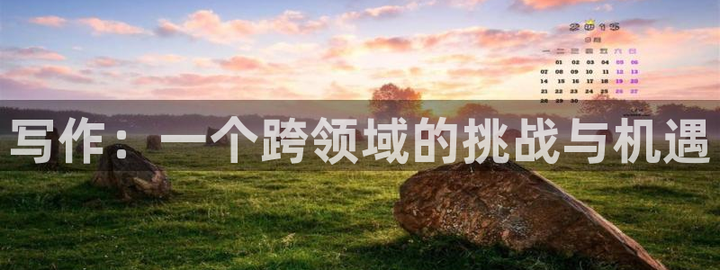 仙子的修行第一版主小说网：写作：一个跨领域的挑战与机遇