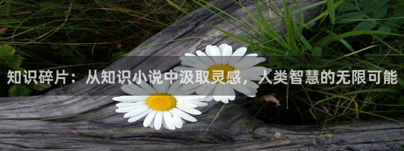 第一版主小说网01bz 藏经阁：知识碎片：从知识小说中汲取灵感，人类智慧的无限可能